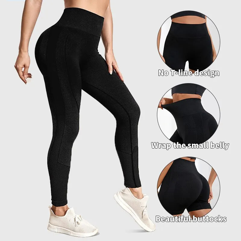 Avant Seamless Legging